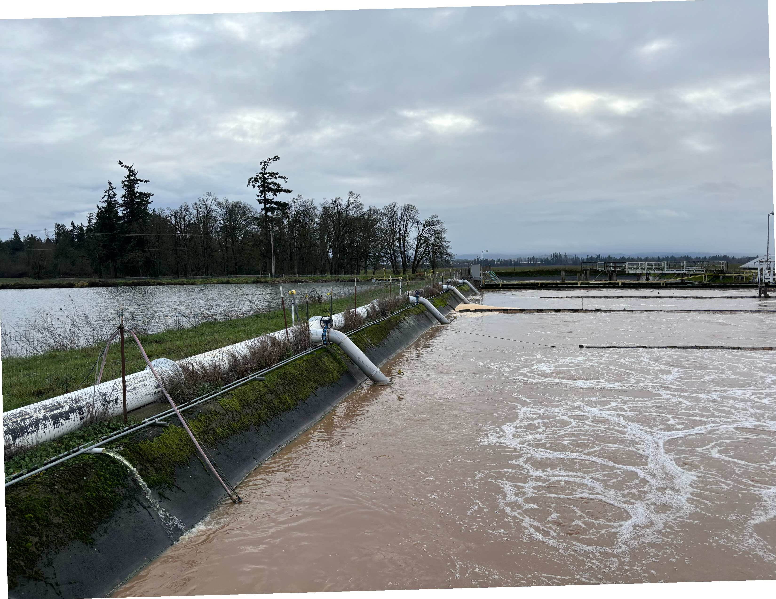 image-Installation Summary – BrucePac Food Processing Plant